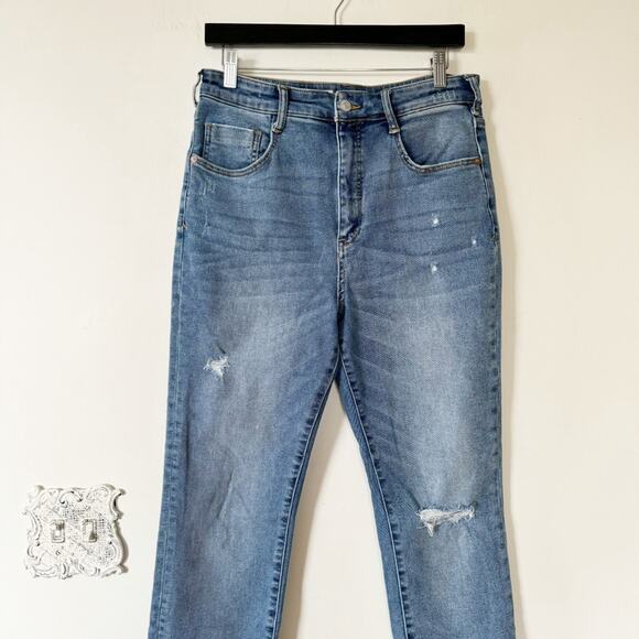 Anthropologie Pilcro Distressed High Rise Cigarette Frayed Hem Straight Jeans 30 - Picture 6 of 10